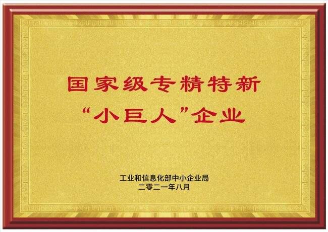 小巨人企業(yè).jpg